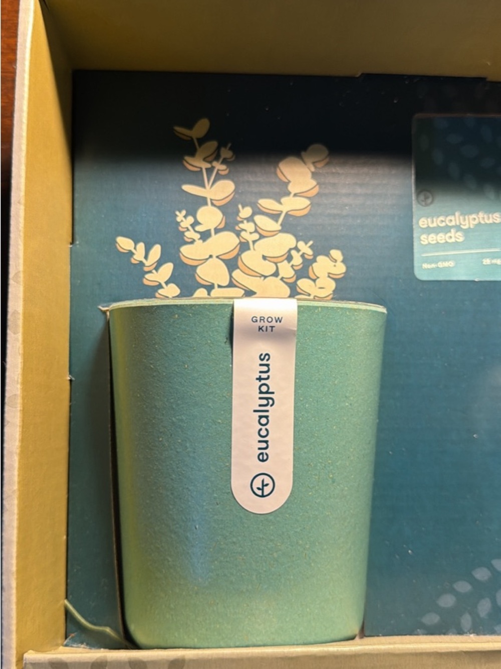 Eucalyptus & Bergamot Bath Accessory Set - Blue - Picture 2 of 5